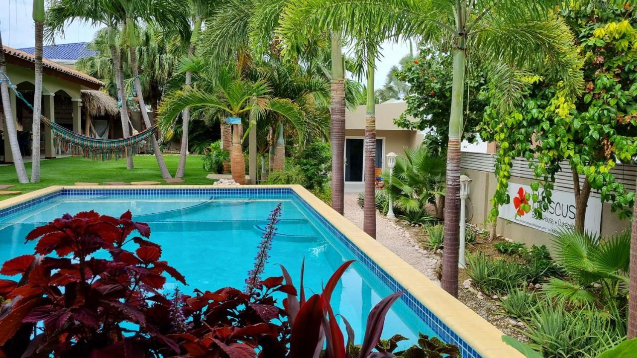 Hibiscus Beach House Jan Thiel Kültér fotó